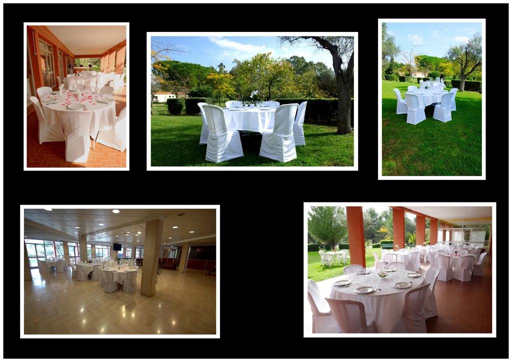 Le Domaine Des Oliviers Apartment Saint-Cyr-sur-Mer Exterior foto