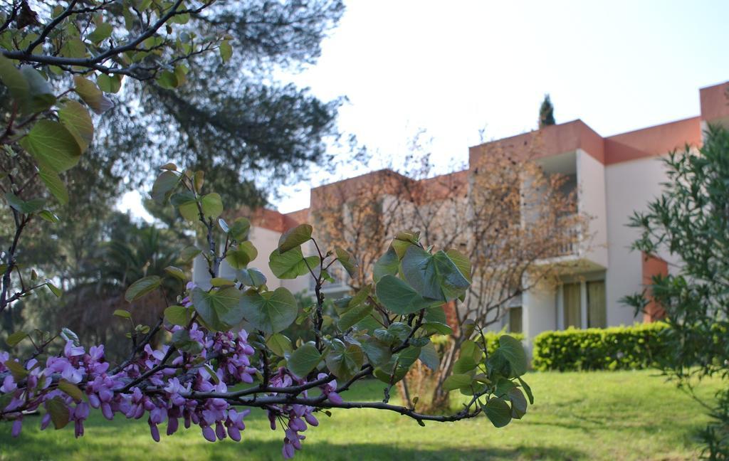 Le Domaine Des Oliviers Apartment Saint-Cyr-sur-Mer Exterior foto